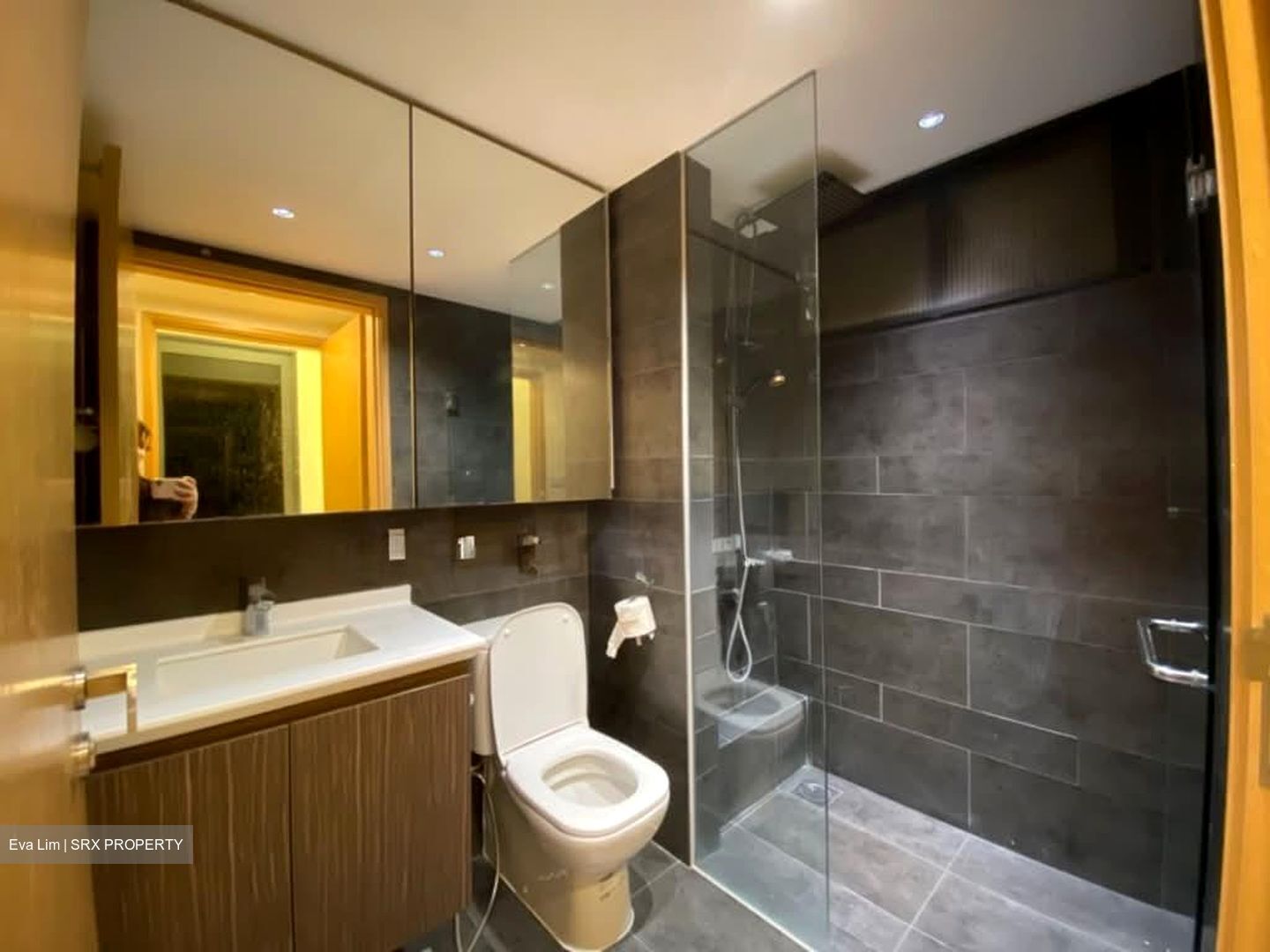 Parc Olympia (D17), Condominium #551683681
